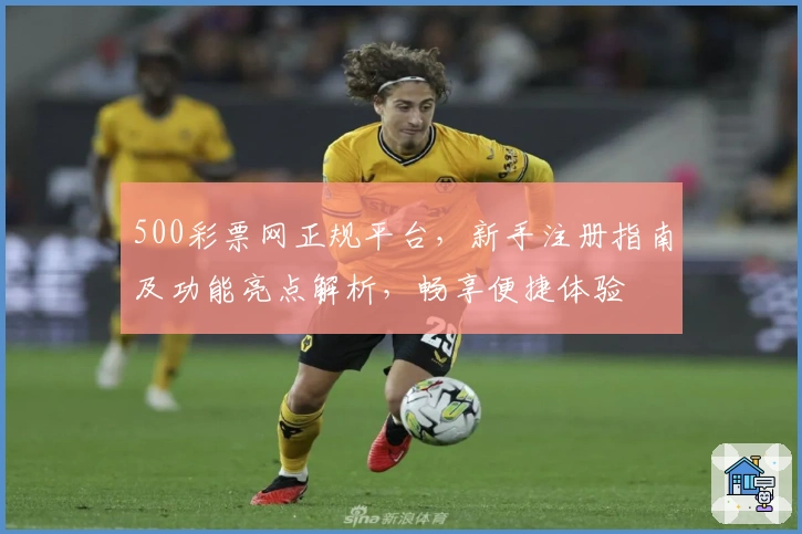 500彩票网正规平台,新手注册指南及功能亮点解析,畅享便捷体验