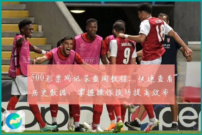 500彩票网记录查询教程：快速查看历史数据，掌握操作技巧提高效率
