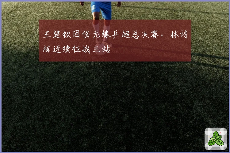 王楚钦因伤无缘乒超总决赛，林诗栋连续征战三站