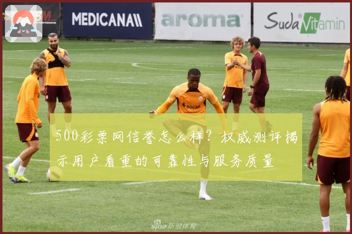 500彩票网信誉怎么样？权威测评揭示用户看重的可靠性与服务质量